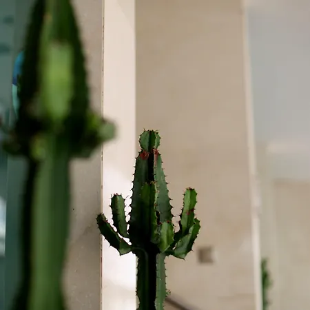 Exe Wellington Hotel 4*