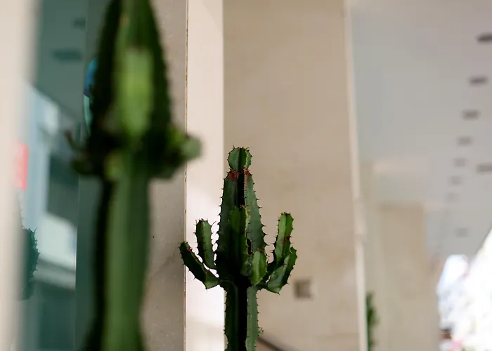 Exe Wellington ホテル 4*